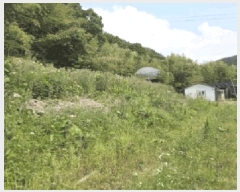  2025Ÿ��10354  �����