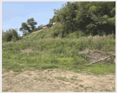  2025Ÿ��10354  �����