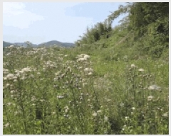  2025Ÿ��10354  �����