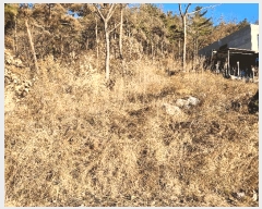  2025Ÿ��10363 �泲 �о�� �󵿸� ��� 436-24      ���ð��