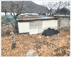  2025Ÿ��10366 �泲 �о�� û���� �λ긮 706      ���ð��