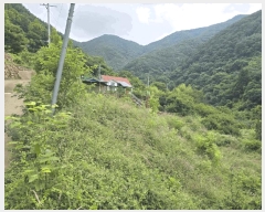  2025Ÿ��10369  �����