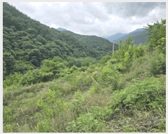  2025Ÿ��10369  �����