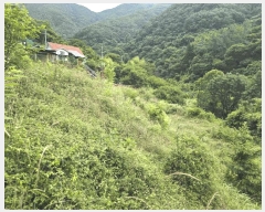  2025Ÿ��10369  �����