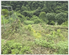  2025Ÿ��10369  �����