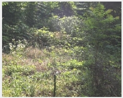  2025Ÿ��10369  �����