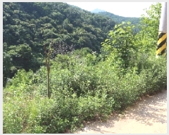  2025Ÿ��10369  �����