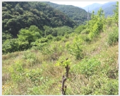  2025Ÿ��10369  �����