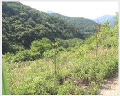  2025Ÿ��10369  �����