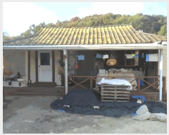  2025Ÿ��10387 �泲 �о�� �κϸ� ���긮 289-1      ����(����)���