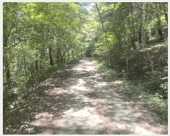  2025Ÿ��10390  �Ӿ߰��