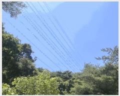  2025Ÿ��10390  �Ӿ߰��