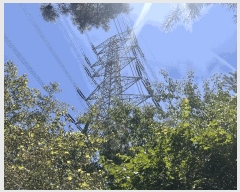  2025Ÿ��10390  �Ӿ߰��