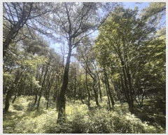  2025Ÿ��10390  �Ӿ߰��