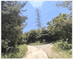  2025Ÿ��10390  �Ӿ߰��