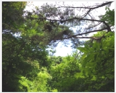  2025Ÿ��10390  �Ӿ߰��