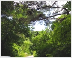  2025Ÿ��10390  �Ӿ߰��