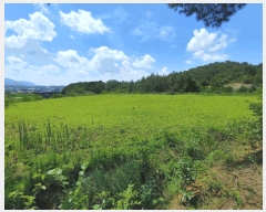  2025Ÿ��10402  �Ӿ߰��