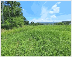  2025Ÿ��10402  �Ӿ߰��