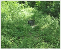  2025Ÿ��10402  �Ӿ߰��