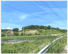  2025Ÿ��10402  �Ӿ߰��