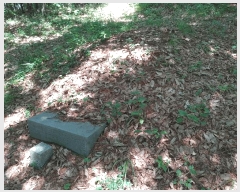  2025Ÿ��10402  �Ӿ߰��