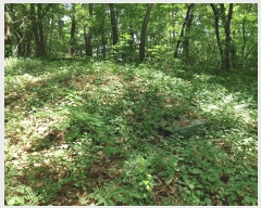  2025Ÿ��10402  �Ӿ߰��