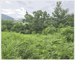  2025Ÿ��10408  �����