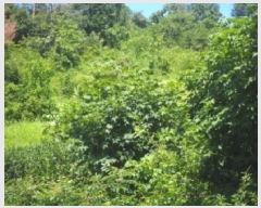  2025Ÿ��10408  �����