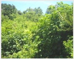  2025Ÿ��10408  �����