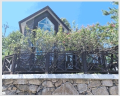  2025Ÿ��10414 �泲 �о�� �곻�� ������ 127-1      ���(ķ����)���