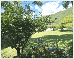  2025Ÿ��10414 �泲 �о�� �곻�� ������ 127-1      ���(ķ����)���