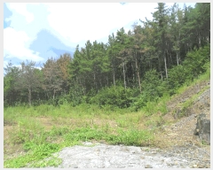  2025Ÿ��10420 �泲 â�籺 �ΰ�� ������ ��45-11      ����(�Ӿ�)���