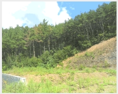  2025Ÿ��10420 �泲 â�籺 �ΰ�� ������ ��45-11      ����(�Ӿ�)���