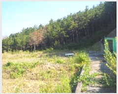  2025Ÿ��10420 �泲 â�籺 �ΰ�� ������ ��45-11      ����(�Ӿ�)���