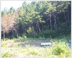  2025Ÿ��10420 �泲 â�籺 �ΰ�� ������ ��45-11      ����(�Ӿ�)���