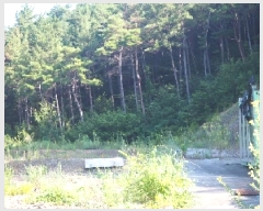  2025Ÿ��10420 �泲 â�籺 �ΰ�� ������ ��45-11      ����(�Ӿ�)���