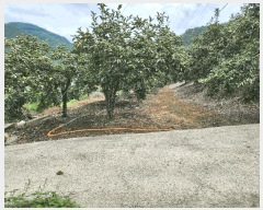  2025Ÿ��10433 �泲 �о�� �󵿸� ������ 197-1      ����(��)���