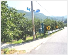  2025Ÿ��10433 �泲 �о�� �󵿸� ������ 197-1      ����(��)���