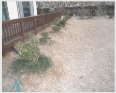  2025Ÿ��10436 �泲 �о�� �󵿸� ��� 405-5      ���ð��