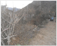  2025Ÿ��10436 �泲 �о�� �󵿸� ��� 405-5      ���ð��