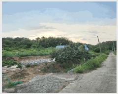  2025Ÿ��10450 �泲 â�籺 ������ ��Ҹ� 302      ����(��1)���