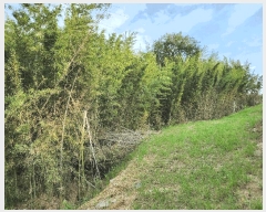  2025Ÿ��10450 �泲 â�籺 ������ ��Ҹ� 302      ����(��1)���