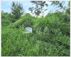  2025Ÿ��10450 �泲 â�籺 ������ ��Ҹ� 302      ����(��1)���