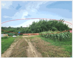  2025Ÿ��10450 �泲 â�籺 ������ ��Ҹ� 302      ����(��1)���