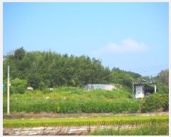  2025Ÿ��10450 �泲 â�籺 ������ ��Ҹ� 302      ����(��1)���