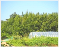  2025Ÿ��10450 �泲 â�籺 ������ ��Ҹ� 302      ����(��1)���