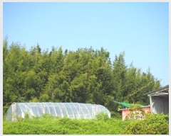  2025Ÿ��10450 �泲 â�籺 ������ ��Ҹ� 302      ����(��1)���