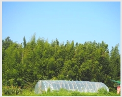  2025Ÿ��10450 �泲 â�籺 ������ ��Ҹ� 302      ����(��1)���