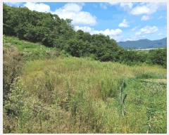  2025Ÿ��10460  �����